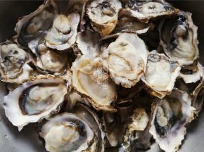 首先把生蚝清洗干净，用专用的小刀撬开生蚝壳，蚝肉那边备用（里面独有汁水千万被倒掉）。