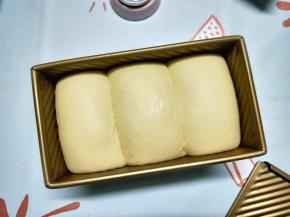 将吐司盒放入温暖湿润处进行发酵，发酵至8分满时，盖上吐司盖，继续发酵，轻拉吐司盖，感觉有明显阻力，就可以了