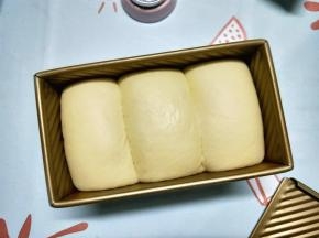 将吐司盒放入温暖湿润处进行发酵，发酵至8分满时，盖上吐司盖，继续发酵，轻拉吐司盖，感觉有明显阻力，就可以了