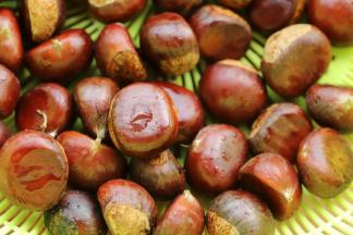 新鲜板栗洗净晾干。