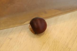 刀尖处放板栗中间，手轻轻敲一下刀背，切一小口。