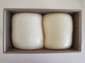 １７、发酵到土司盒的９分满，表面刷蛋清或者牛奶。