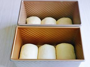 依次做好的卷，放入吐司模具中，放入烤箱进行发酵，可以放入一杯开水，保持面包胚的湿度。