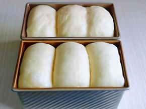 发酵至9分满，可以进行烘烤。