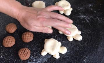 在乌龟身上抹上适量的清水