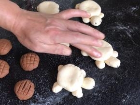 在乌龟身上抹上适量的清水