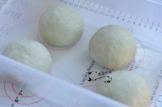 将面团排气后分割成四份，滚圆后静置10分钟。