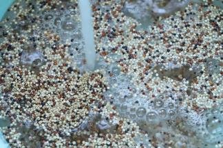 大米和三色藜麦淘洗干净，沥干水分，倒入巧釜脱糖电饭煲的甑锅内。