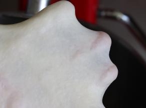直到面团又变成光滑的面团后，我们可以检查一下面团的状态，如果可以拉出大片的比较结实的膜，就可以了。