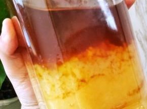 爸爸给的土蜂蜜