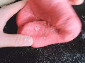 把主料食材混合均匀，揉成光滑面团发酵至两倍大