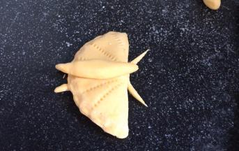 再用剪刀在蝴蝶前头剪出两根蝴蝶须