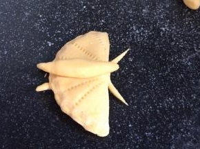 再用剪刀在蝴蝶前头剪出两根蝴蝶须