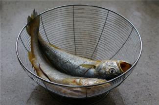 将黄鱼洗好，然后双面开三条刀品，用细盐先抹鱼身，微微腌制一下洗好控水备用。不易腌制的时间过长，要不然鱼肉会太老。