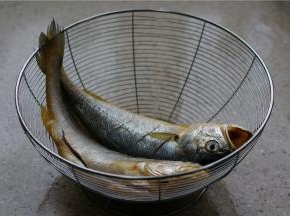 将黄鱼洗好，然后双面开三条刀品，用细盐先抹鱼身，微微腌制一下洗好控水备用。不易腌制的时间过长，要不然鱼肉会太老。