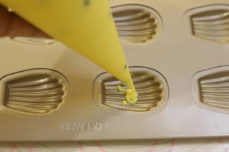 取出冷藏好的蛋糕糊，挤入12连的小玛德琳模内。