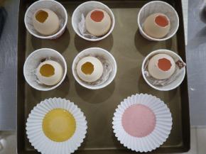 把其他面糊挤到蛋壳里，约6分满。