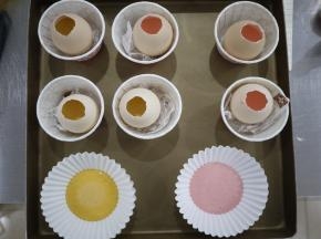 把其他面糊挤到蛋壳里，约6分满。