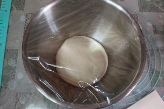 然后整理成圆形，放入盆内，盖上保鲜膜进行一发（室温27度左右）。