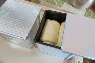 发至模具八-九分满。（轻按面包胚，会缓解回缩即可）