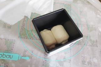 把面团摆入模具，烤箱启动发酵功能35度。