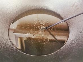 铸铁锅中倒入大量的食用油，烧热，用筷子放入出现密集的泡泡。