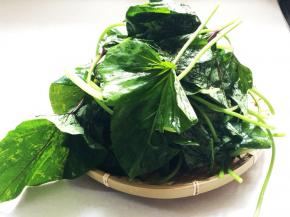 冲洗干净后，捞出控干水分