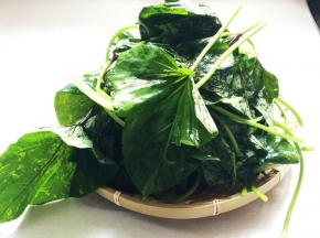 冲洗干净后，捞出控干水分