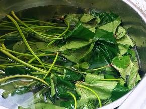 红薯叶去掉老根，冲洗干净浮土，加盐浸泡十分钟，再次冲洗干净