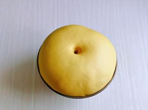 发酵好的面团手指摁一下，不回缩即为发酵完成。