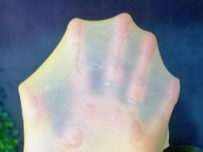 揉到不容易破的手套膜即可，我选用的是金龙鱼面包用高筋小麦粉，采用100%进口小麦，面粉揉面过程中特别好出膜，做出来的面包，口感特别好，拉丝又柔软。