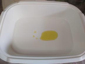 锅内加少许植物油热锅。