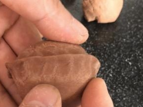 用手在中间捏出核桃隔