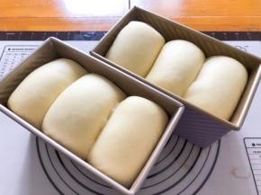 发酵至8分满，盖上盖子放入预热好的烤箱下层，170度40分钟