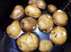 土豆洗净加入清水放入锅里煮至能用筷子轻松插透
