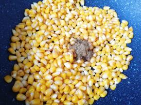 翻炒至玉米粒上了火色之后关火，加入一勺孜然粉。