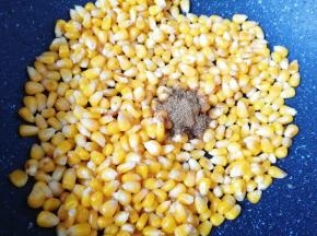 翻炒至玉米粒上了火色之后关火，加入一勺孜然粉。