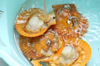 扇贝用水清洗干净。