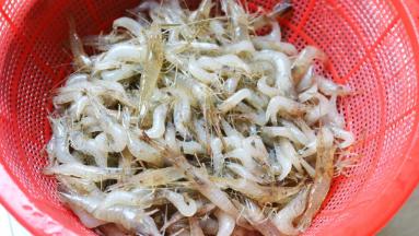 河虾冲洗干净，要多冲洗几遍