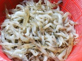 河虾冲洗干净，要多冲洗几遍