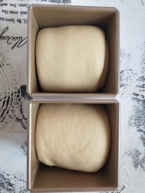 14、发酵到模具的8分满即可。