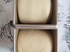 14、发酵到模具的8分满即可。