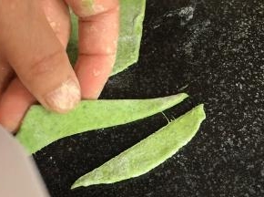 把绿面团擀成面皮，分别切出长叶子和花茎的形状
