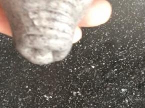 在小头用筷子插出猪鼻孔，用刮刀在鼻子上压出纹路