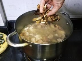 开盖放入白牛肝菌