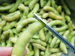 先剪去毛豆的一边的小尖角。