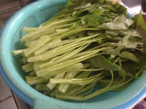 通心菜除去黄叶、老梗后洗干净，掐成小段，每一小段上都有叶子和梗