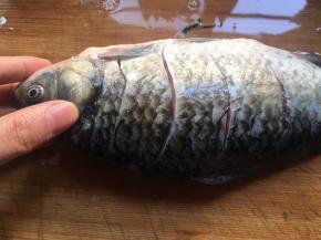 然后再在鱼身两面均匀打上花刀，再将鱼身抹上适量食盐，按摩均匀，腌制10分钟左右；