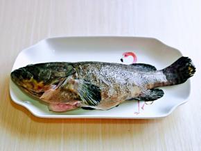 洗干净的石斑鱼放去鱼盘中。