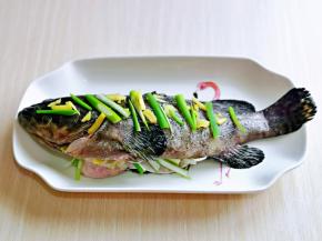 摆放上葱姜，包括鱼肚子里面也塞入葱姜。